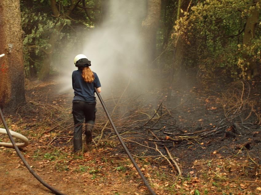 Waldbrand Bergisch Gladbach Bensberg P166.JPG